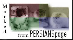 Persians page
