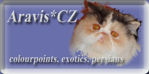 ARAVIS perské a exotické kočky, persians and exotics