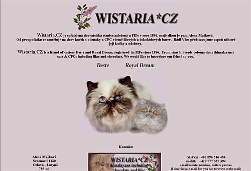 WISTARIA - websites - persian colourpoints, perské kočky s odznaky