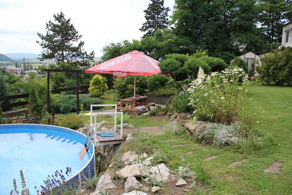 Our garden in the summer of 2014