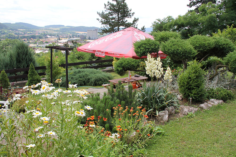 Naše zahrada v létě 2014