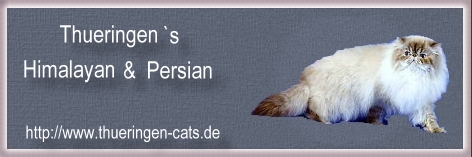 Thueringen - perské kočky s odznaky, colourpoint
