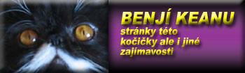 Benjí Keanu - stránky perské kočičky