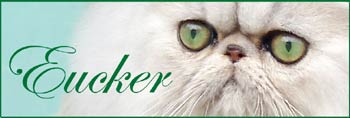 EUCKER silver and golden persian and exotic cats