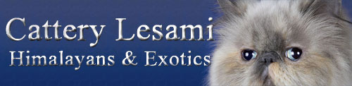 LESAMI perské a exotické kočky s odznaky, CPC