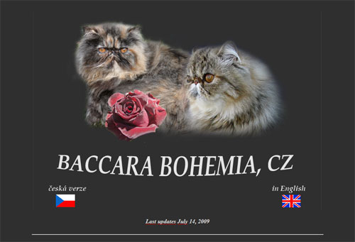 Baccara Bohemia - inactive cattery of persian and exotic cats