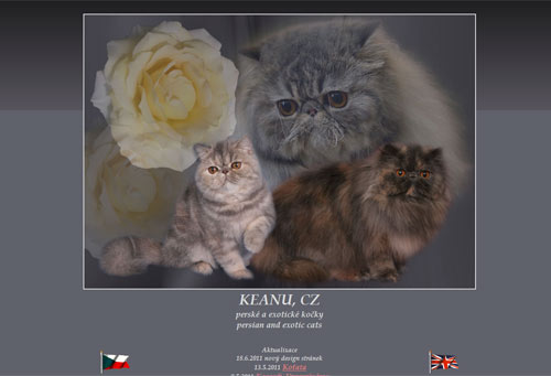 Keanu - perské a exotické kočky