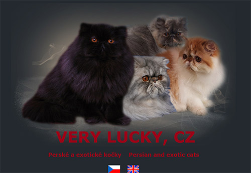 Very-Lucky - perské a exotické kočky