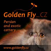 Perské a exotické kočky Golden Fly