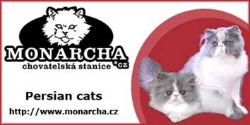 Monarcha - persian cats