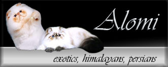 ALOMI perské a exotické kočky, také s odznaky