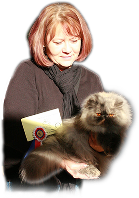 Jana Daubnerová, chovatelka perských koček