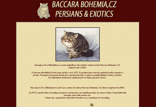 BACCARA BOHEMIA persian and exotic cats