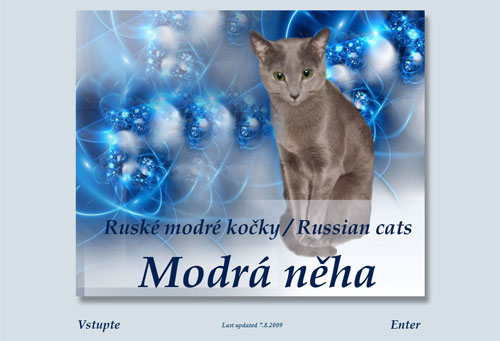 Modrá něha - ruské modré kočky, russian cats